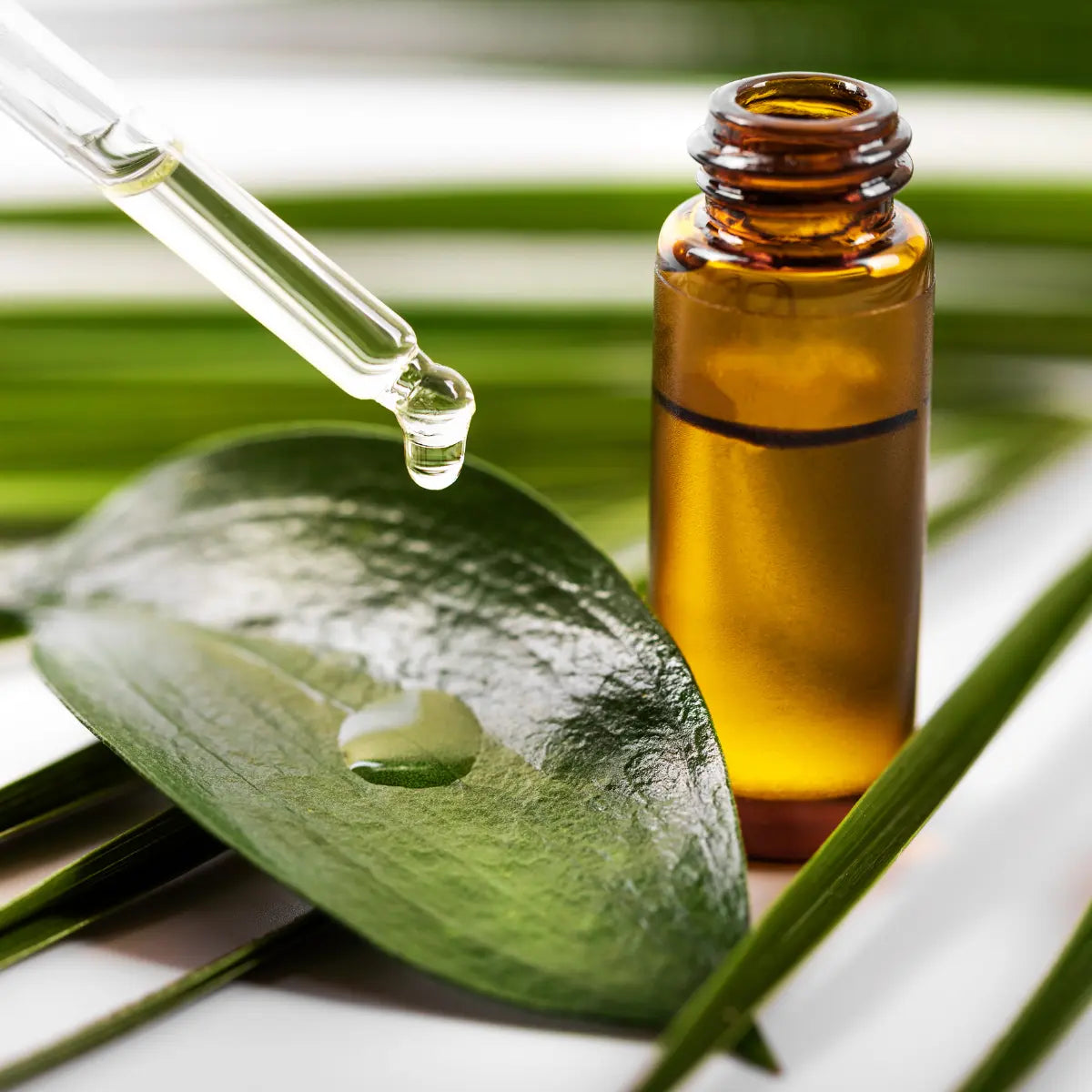 Tea Tree Oil for Eczema: Useful or Irritating? (2026)