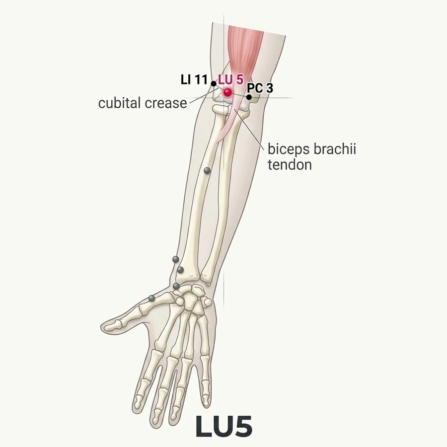 Location of Chize (LU-5): The written location is summarised from the classical record; use the strongest named.