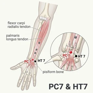 Daling acupoint diagram