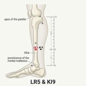 Ligou acupoint diagram