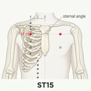 Wuyi acupoint diagram