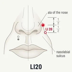 Yingxiang acupoint diagram