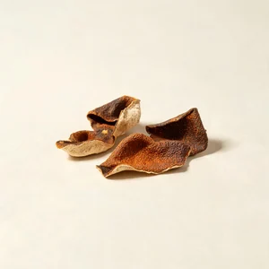 Chen Pi