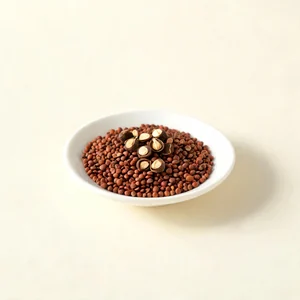 Lai Fu Zi