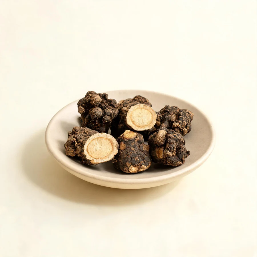Dried Sheng Ma rhizome arranged in a shallow bowl