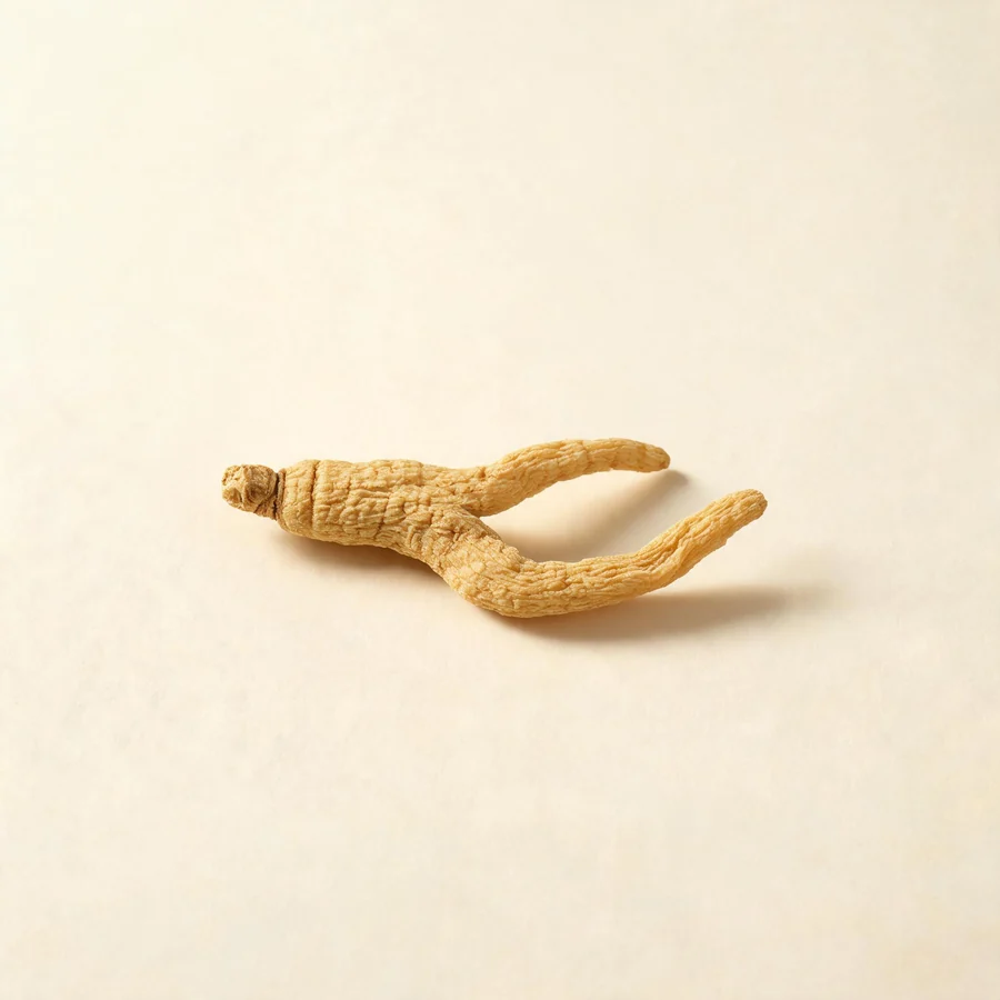 Dried Xi Yang Shen root arranged in a shallow bowl